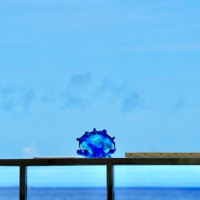 海が綺麗です