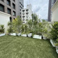 屋上ガーデン