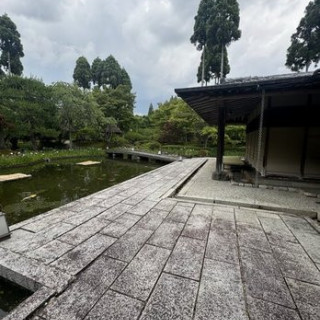 日本庭園内には茶室もあり、そこでも撮影ができるそうです。