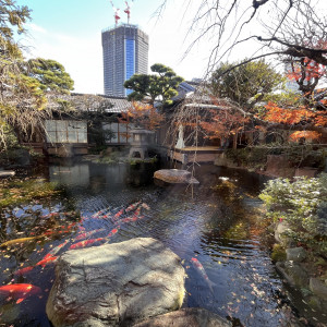 庭がとても綺麗でした|725362さんのつきじ治作の写真(2329808)