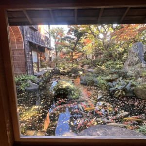 庭がとても綺麗でした|725362さんのつきじ治作の写真(2329804)