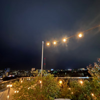 夜も素敵です