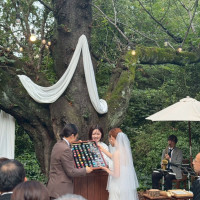 ガーデン挙式会場です
M字の布が可愛らしかったです