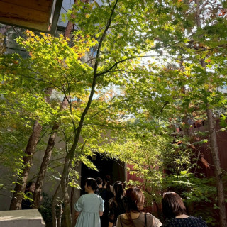 気持ち良い森を抜けて挙式会場へ