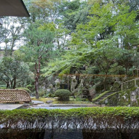 大きな窓から見える日本庭園。