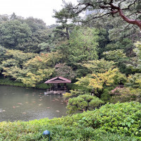 日本庭園