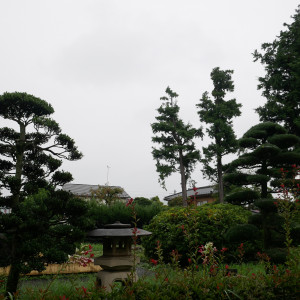 庭|726629さんの川越氷川神社・氷川会館の写真(2299956)