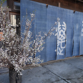入口に季節の花を置けます
春のため桜です