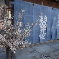 入口に季節の花を置けます
春のため桜です