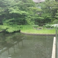 独立型チャペルの景色