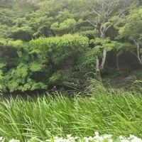 独立型チャペルの景色