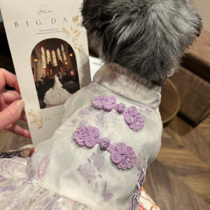 リングドックした
席次表持ち込み|727897さんのSt. ヴァレンタイン福山/FIVESTAR WEDDINGの写真(2307863)