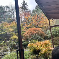 紅葉の季節でとても綺麗でした