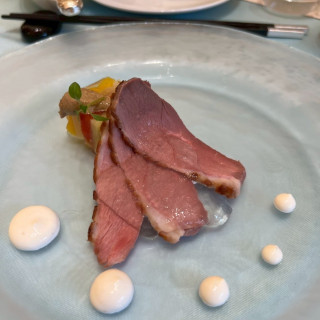 鴨肉