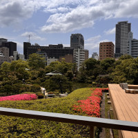 テラスから見える相楽園