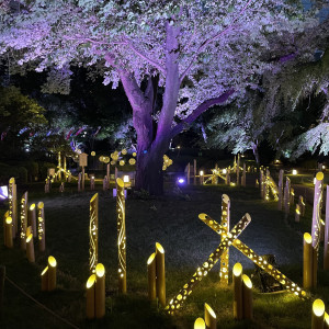 ル・トリアノンから見える庭の景色|728863さんのグランドプリンスホテル高輪 貴賓館の写真(2441078)