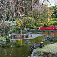 日本庭園