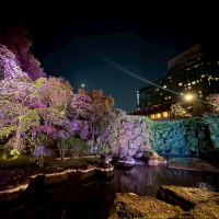 夜のニューオータニ