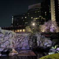 夜のニューオータニと滝