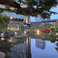 夕方の日本庭園