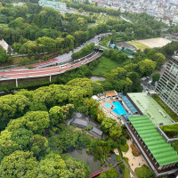 客室からの眺め