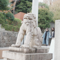 狛犬です