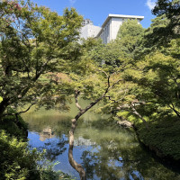 池のある庭園