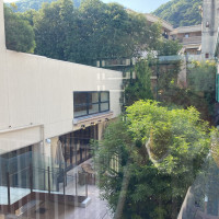 中庭の様子