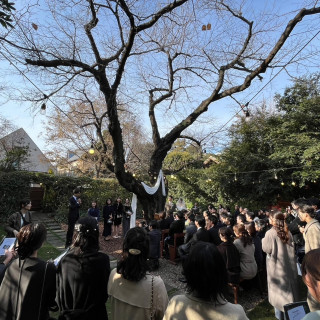 桜の木の前での挙式