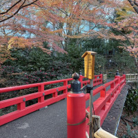 庭園の橋は前撮りスポット