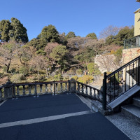 階段の上から雲海を見ることも可能