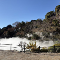 庭で時間ごとに雲海が発生