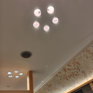 梅の形の電気|730562さんの大阪天満宮の写真(2326741)