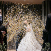 スパイダーシャワー