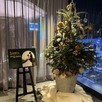 夜のロビー