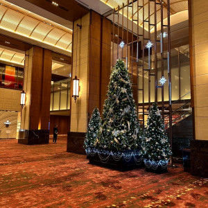 冬はロビーにクリスマスツリー|731147さんの東京會舘の写真(2333371)