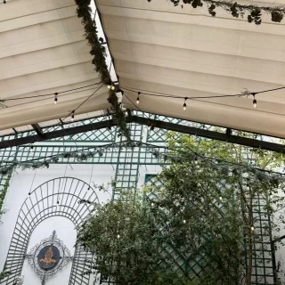 ガーデン挙式時の天井