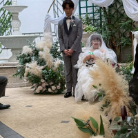 3列目くらいのゲストから見た新郎新婦