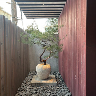 入り口付近に季節の植物が飾られています