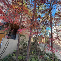 季節を感じられる お庭があります