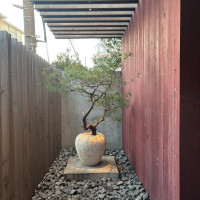 入り口付近に季節の植物が飾られています