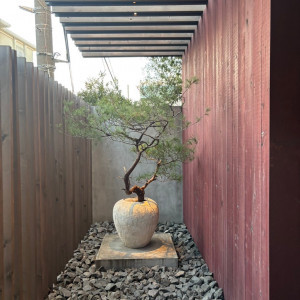 入り口付近に季節の植物が飾られています|731364さんのIWAI OMOTESANDO(イワイ オモテサンドウ)の写真(2476509)