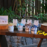 カラードレス色当てクイズ