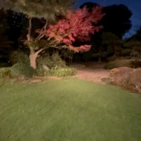 披露宴会場の横にあるガーデン