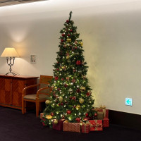 装飾(クリスマスシーズン)