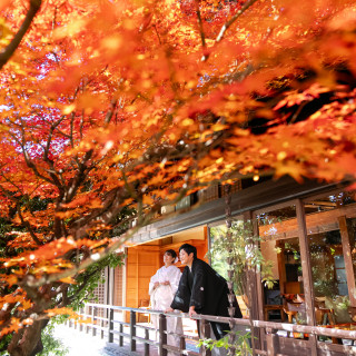 紅葉に囲まれてます。