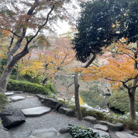 紅葉、新緑、桜と様々な表情が見れそうです。