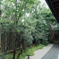 中庭の様子