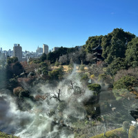 椿山荘の目玉である雲海