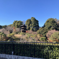 椿山荘の庭園